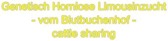 Genetisch Hornlose Limousinzucht - vom Blutbuchenhof - cattle sharing